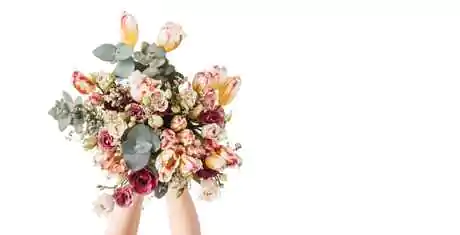 Send Flowers